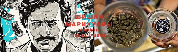 хмурый Нягань