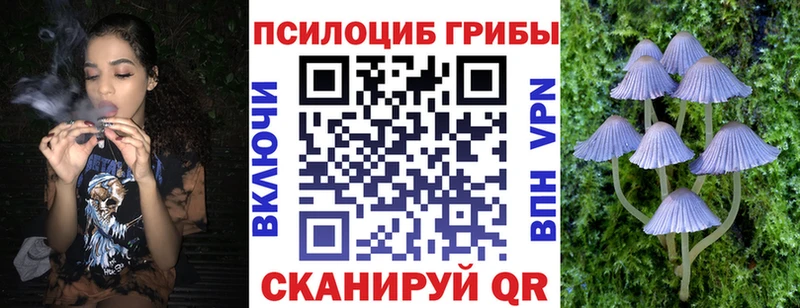 Галлюциногенные грибы прущие грибы  Купить где  Губаха 